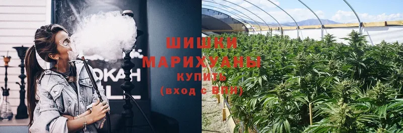 Шишки марихуана LSD WEED  Новокубанск 